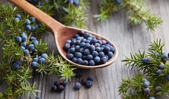 Juniper Berries.